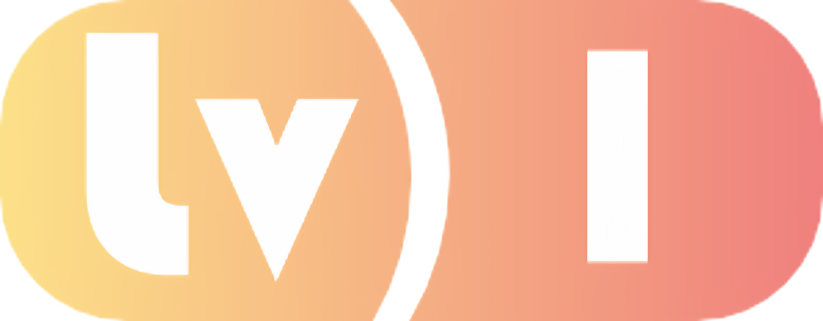 等级-LV1-比子网络