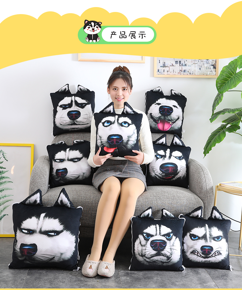 Gối chăn đôi sử dụng gối gấp chăn nhung san hô nội thất đệm văn phòng gối ngủ kết hợp - Trở lại đệm / Bolsters chăn gối 2 trong 1