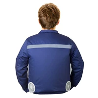 Цзан Цин Цзан Цин с рефлексивными пунктами