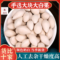 Ginkgo Chinese medicinal materials 500g official flagship store new arrival large ginkgo ginkgo ginkgo dried ginkgo selected raw ginkgo