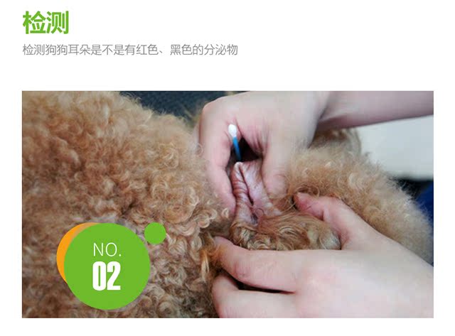 Thú cưng nhỏ tai chó mèo tai nhỏ tai rửa tai chất lỏng sản phẩm sức khỏe thả tai dầu rửa tai khử mùi nước ngứa tai chăm sóc sữa cho mèo sơ sinh