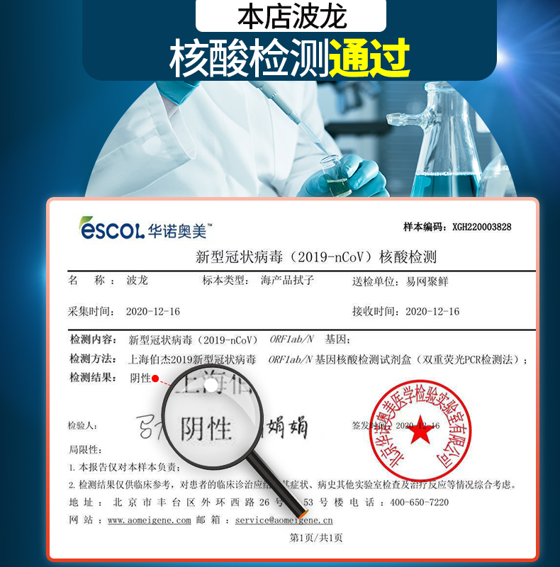 味库海鲜 鲜活波士顿龙虾 450g-550g/只 死亡包赔 图3