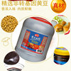 Haitian Zhuhou Sauce 6.5Kg/Tub, Catering-Sized Cooking Meat Seasoning Sauce, Large Tub for Hotel Use