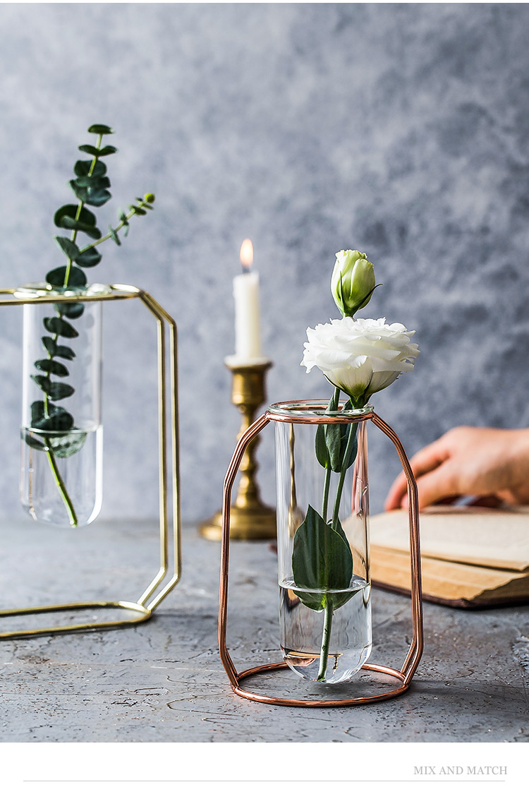 Bắc Âu sáng tạo kim loại bình thủy tinh giá treo thủy canh chai nhà phòng khách hoa khô sắp xếp hoa trang trí trang trí - Vase / Bồn hoa & Kệ các mẫu chậu hoa đẹp