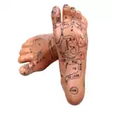 МАТЕРИАЛА МАТЕРИАЛА МАТЕРИАЛА ПВО ПЕЛИ ПЕЛИКА ИГЛАМОСОКОГО ИКОПРОКСУАЛЬНА