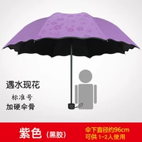 Цветение водой пурпурное