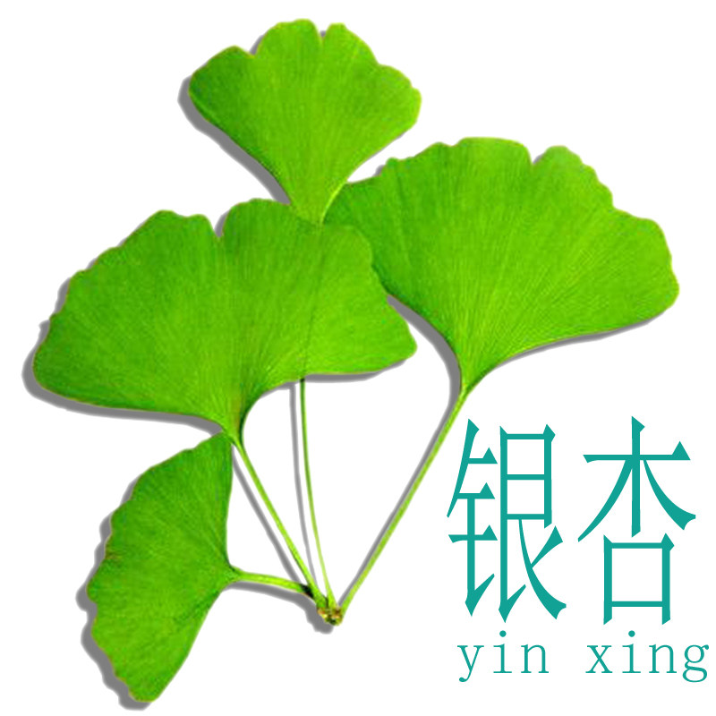 银杏家居生活馆的LOGO