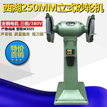 West Lake 250mm vertical grinder Industrial floor grinding polishing copper wire motor M3025 sharpening grinder