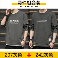 207 серый +242 серый