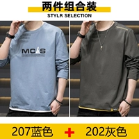 207 синий +202 серый