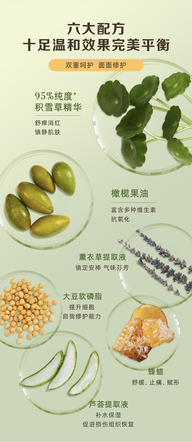 美国进口 伯特小蜜蜂 紫草膏 舒痒消包缓痛提神 8.5g 图5