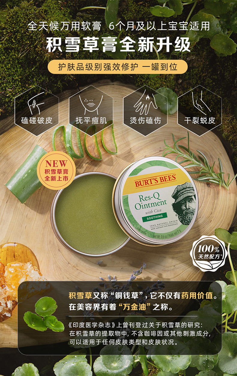 美国进口 伯特小蜜蜂 紫草膏 舒痒消包缓痛提神 8.5g 图4