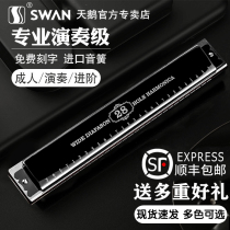 German imported sound Reed Swan 24-hole harmonica Polyphonic C tune high-end professional performance beginner 28-hole accent