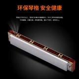 Японская оригинальная профессиональная губная гармошка для школьников для взрослых для начинающих