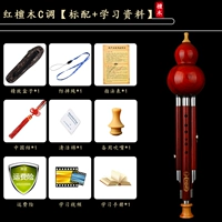 Quanhong Sandalwood C Тон [Полный набор подарков]