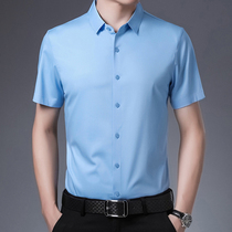 Advanced Sensation Mulberry Silk Shirt Man Short Sleeve Summer Slim Fit Youth Ice Silk Genuine Silk High-end Business Casual Linen