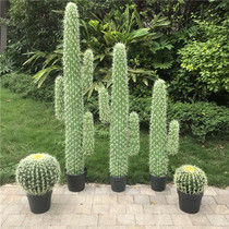 Cactus potted Nordic fairy column cactus indoor decoration ornaments Tropical plant simulation cactus