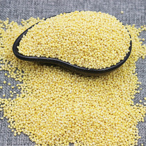 Maranquan River Rhubarb Rice Glutinous Millet New Glutinous glutinous rice Glutinous Rice Sticky Rice Wrapped rice dumplings coarse grain 5 catties