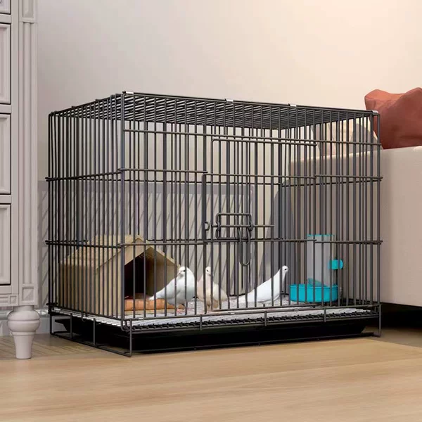 Товары от 明天宠物用品店