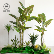 Large rainbow tree simulation plant landscaping bionic green plant potted ornaments indoor and outdoor fake tree landscape decoration bonsai