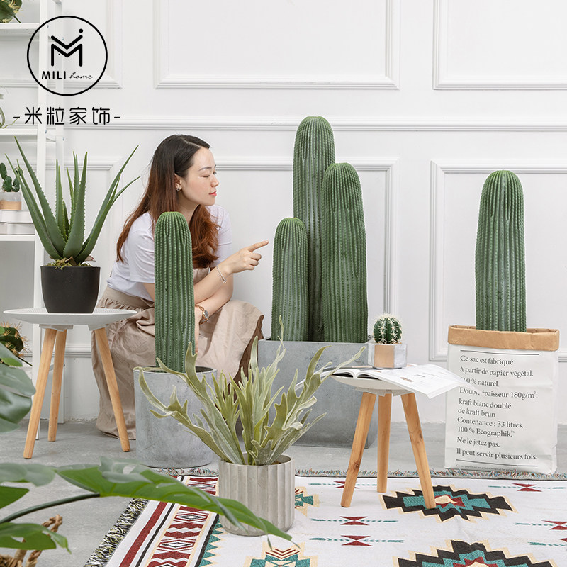 Net Red Cactus Emulation Fairy Post Green Plant Swing Piece Large Dragon Crested Indoor Fake plant Landscaping Decoration Landscape