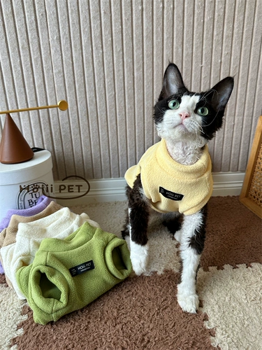 Шестилетний магазин Новые продукты на полках 26-дневная одежда Hoiii Pet Двухсторонний бархатный жилет Devin растягивается мягкая сота