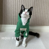 Hoiii Pet Tide Motors Конверсионное свитер дайвинг сфинкс безволосоко