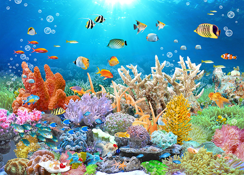 海底世界小鱼群珊
