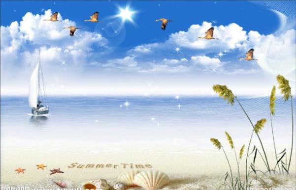 花鸟海边海景风景
