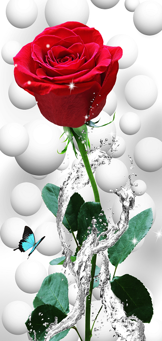 玫瑰水花3D玄关