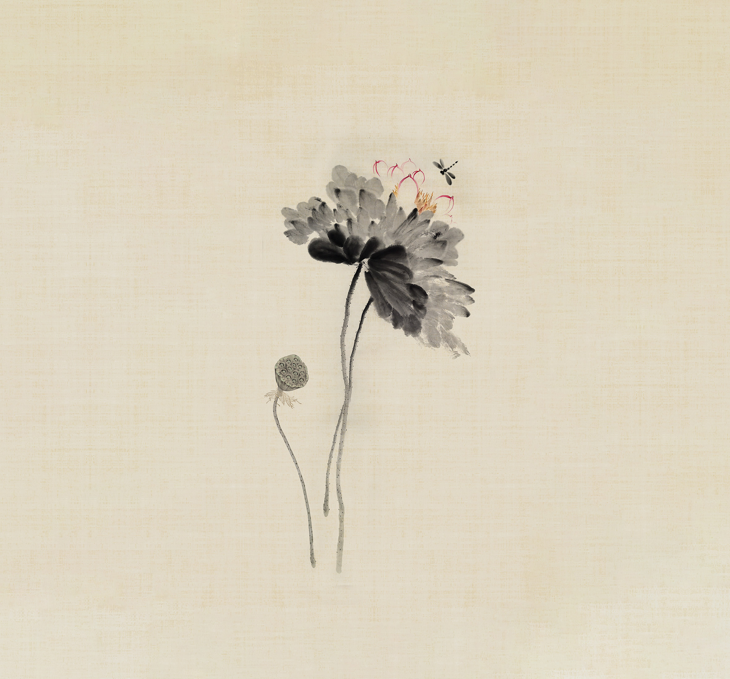 中式手绘水墨莲花