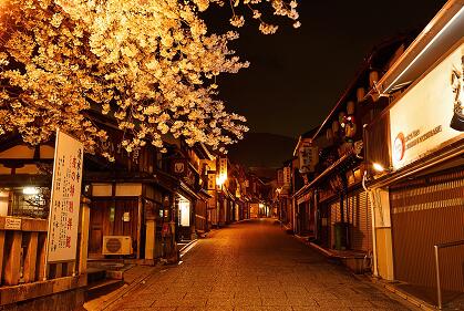 日式夜晚樱花街道