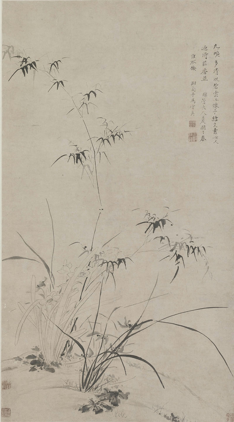 外网下载图案马守