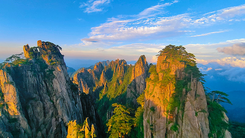 外网下载图案自然