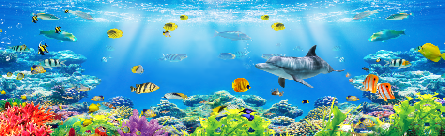 海底世界水族馆背