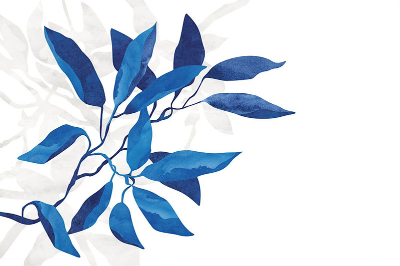 外网下载图案现代