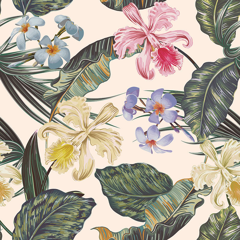 热带雨林植物椰树