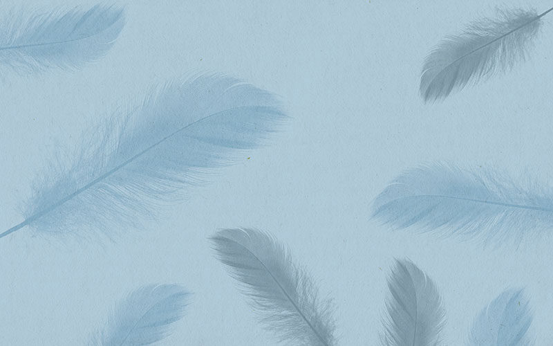 背景墙现代简约羽