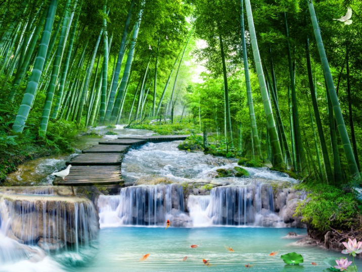 竹林木桥流水电视