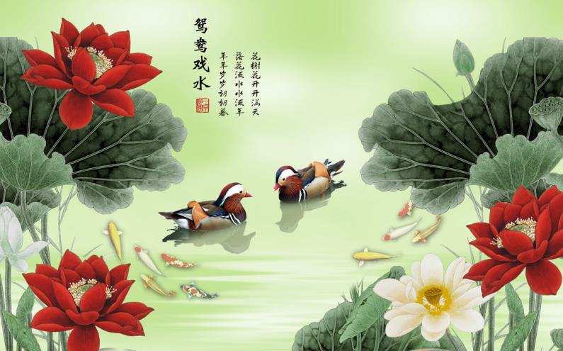 鸳鸯戏水 荷花 
