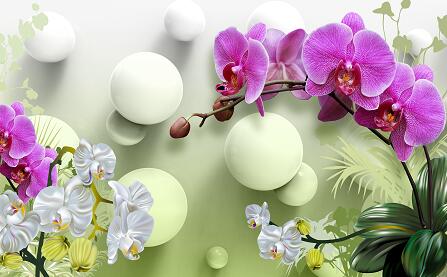 高清蝴蝶兰3D立