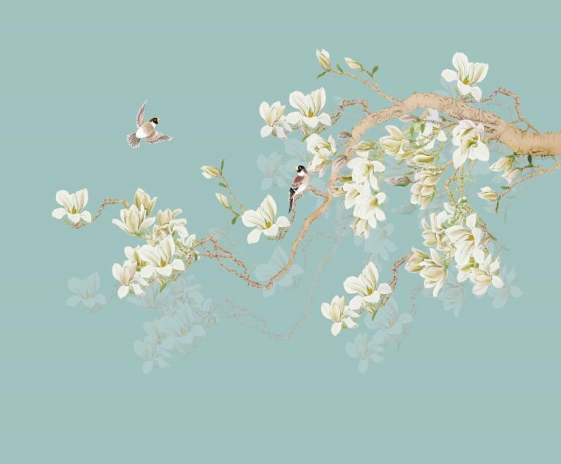 工笔 玉兰花 背