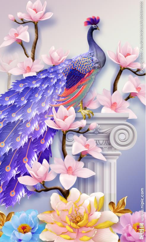 孔雀玄关画图片孔