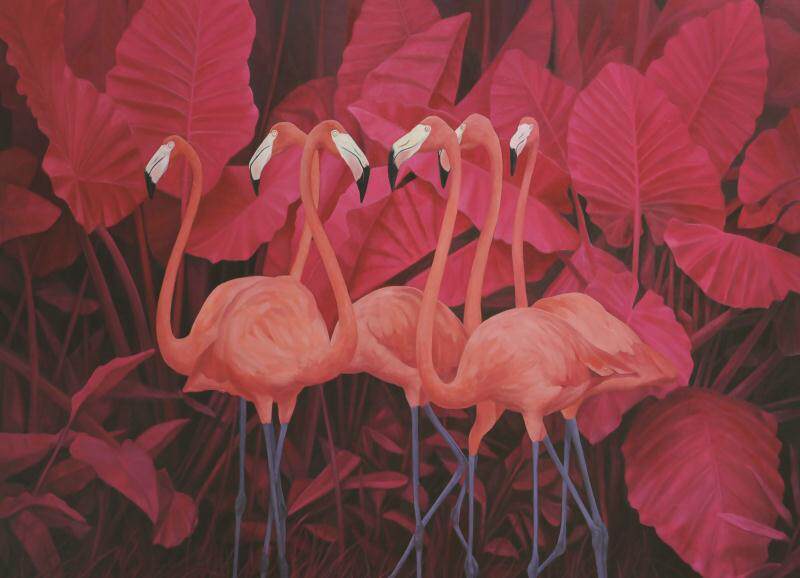 红色热带植物叶子