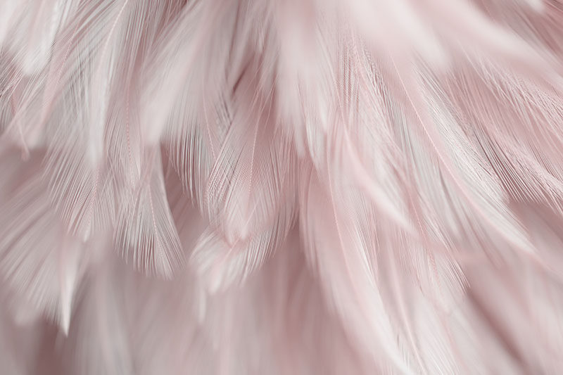 现代简约背景墙粉