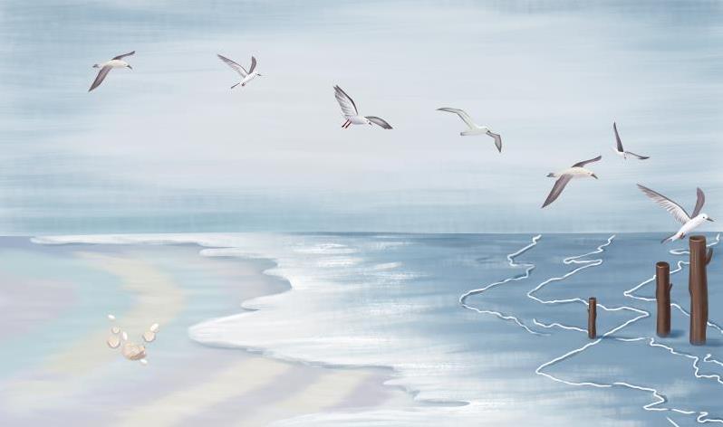 北欧大海海鸥电视