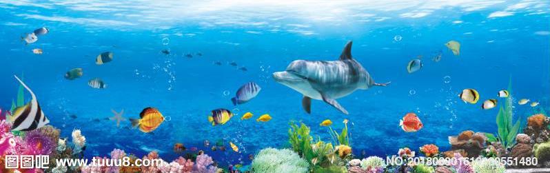 海底世界 海豚 