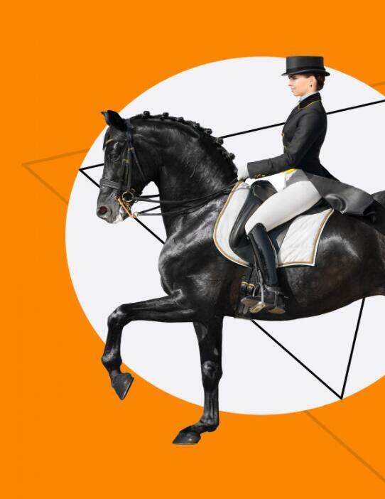 装饰画 骑士 骑