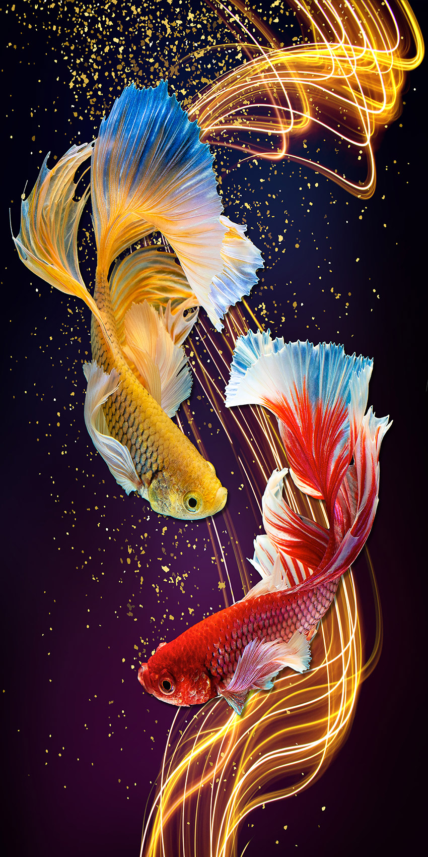 鱼 玄关 装饰画