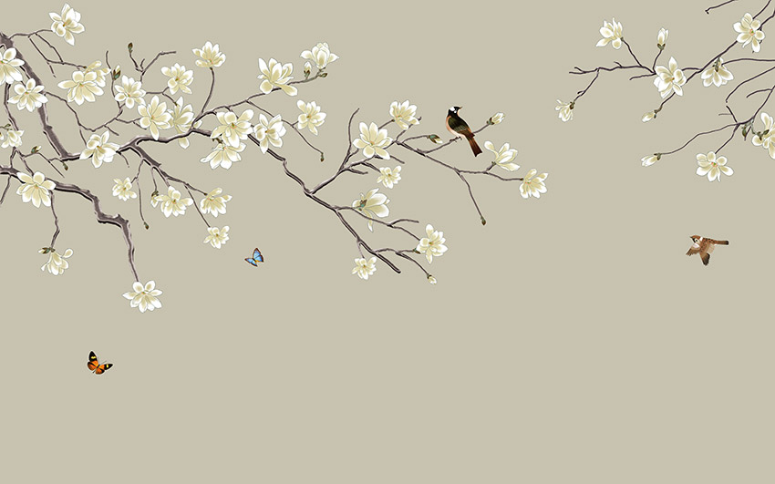 不分层不分层新中
